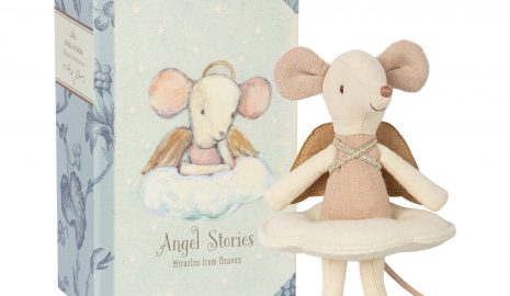 Anjelská myš – veľká sestra v knihe